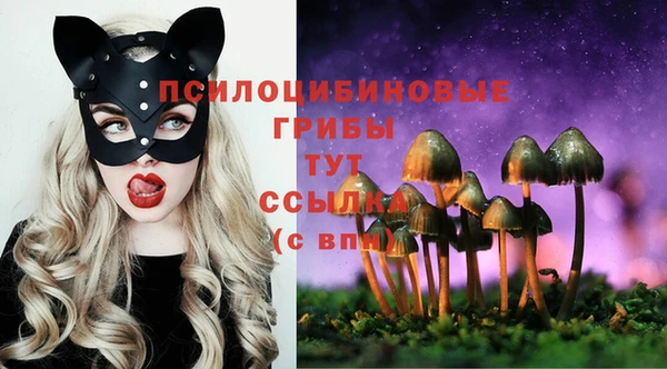 дурь Бородино
