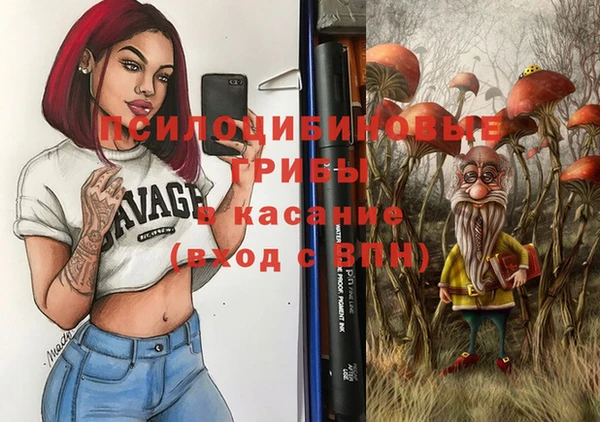 дурь Бородино