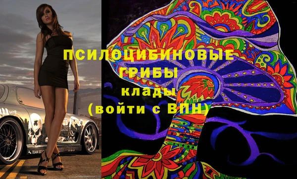 дурь Бородино