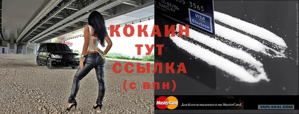 дурь Бородино