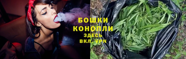 дурь Бородино